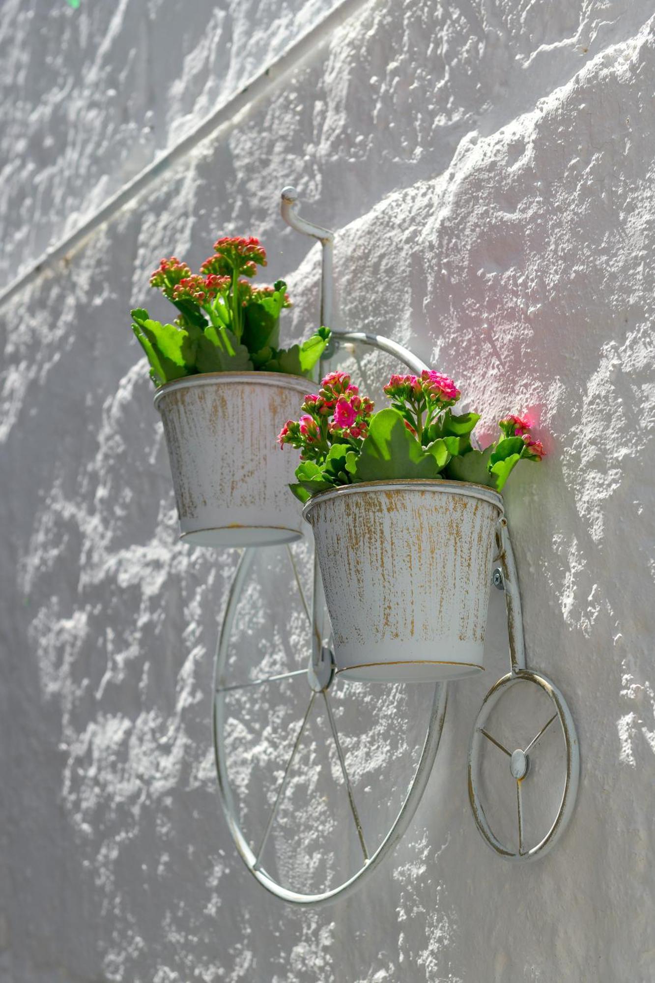 Apartament Rustic Self-inn *